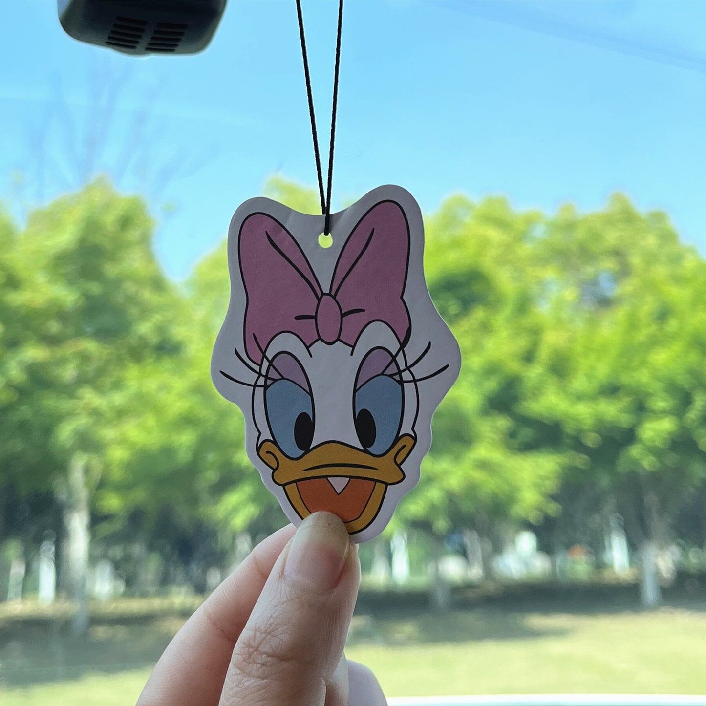 Donald duck